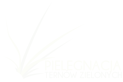 logo_white